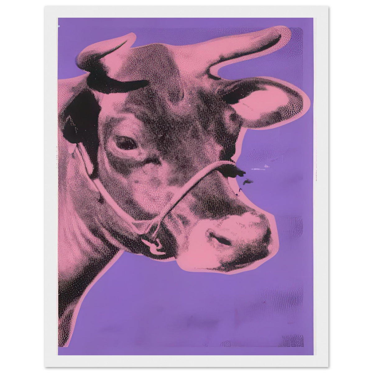 Andy Warhol framed print depicting the cow’s face becomes a bold graphic presence, replacing the gentle mood of traditional animal painting with irreverent visual impact, white frame, 27x35 cm / 11x14″