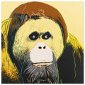 a412a9d6-92aa-413d-ad0f-99b11ce2384b