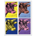 Andy Warhol framed print depicting the cow’s face becomes a bold graphic presence, replacing the gentle mood of traditional animal painting with irreverent visual impact, white frame, 27x35 cm / 11x14″